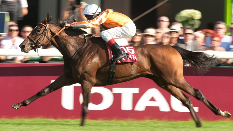 Danedream: stunning five-length winner of the Prix de l'Arc de Triomphe in record time in 2011