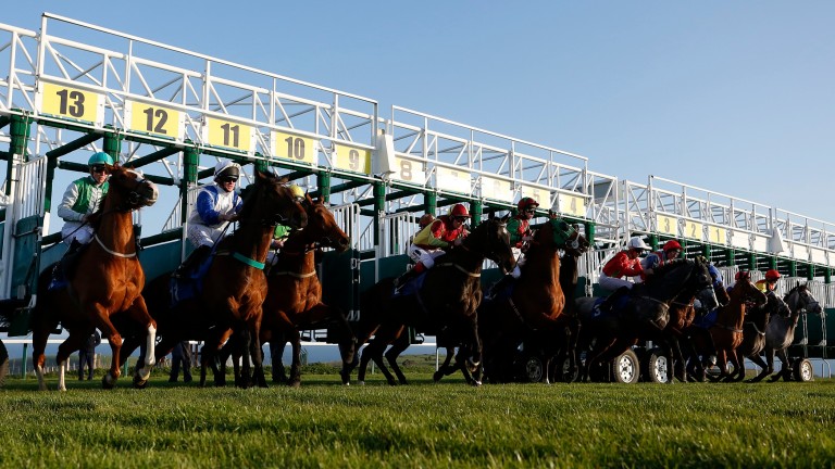 Action from British racecourses had become popular in Israel