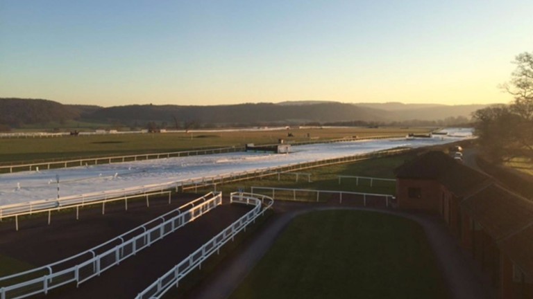 Paddy power track my bet approved