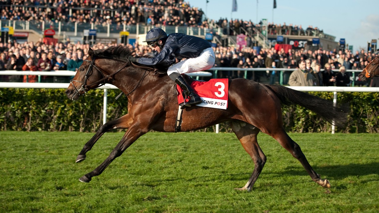 Racing Post Trophy winner Kingsbarns dies at stud from colic aged eight