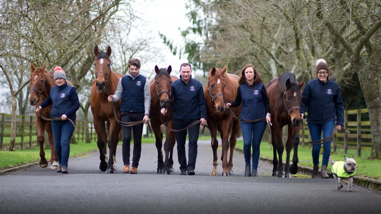 Irish National Stud inducted into hall of fame at ITBA awards