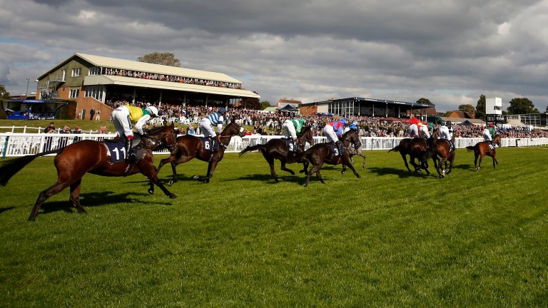 Hereford is to host a new chase series for mares
