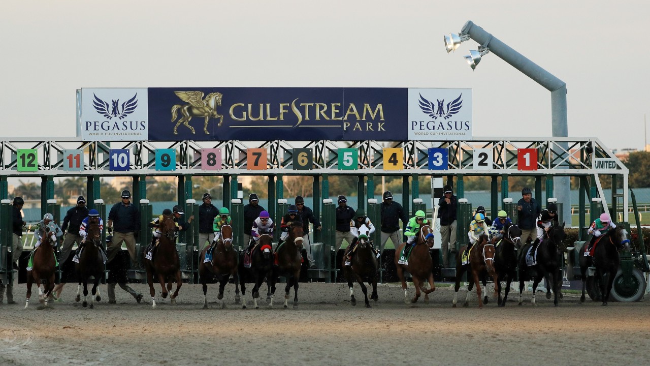 Pegasus World Cup Boosted To 16m For 18 Horse Racing News Racing Post