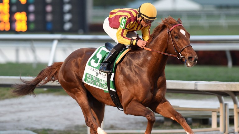 Irish War Cry: Belmont Stakes runner-up is sentimental favourite for the Haskell Invitational - and probably the actual favourite as well
