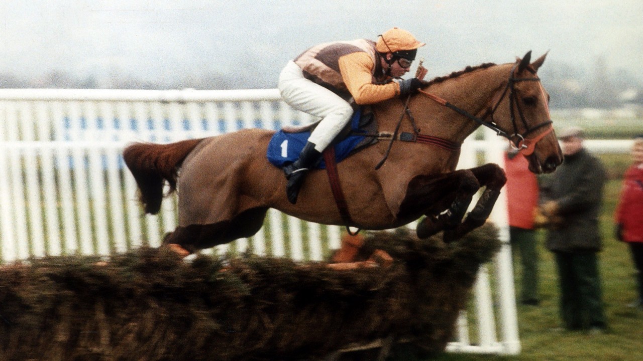 Owner of Champion Hurdle hero Beech Road dies at age of 80 Horse