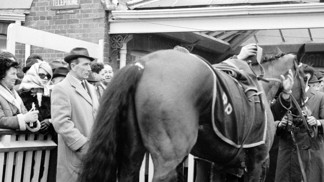 Champions And Self Doping Horses A Short History Of The Betfair Hurdle Horse Racing News Racing Post