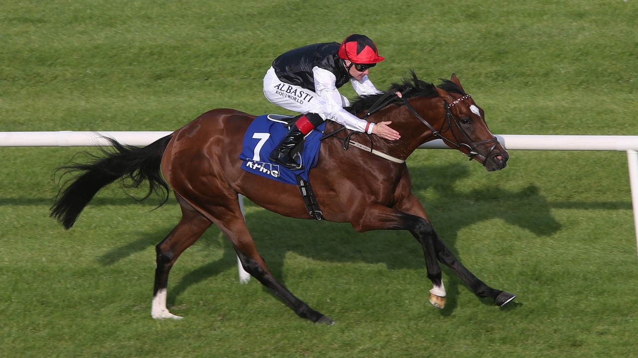 Image result for falcon eagle horse dermot weld