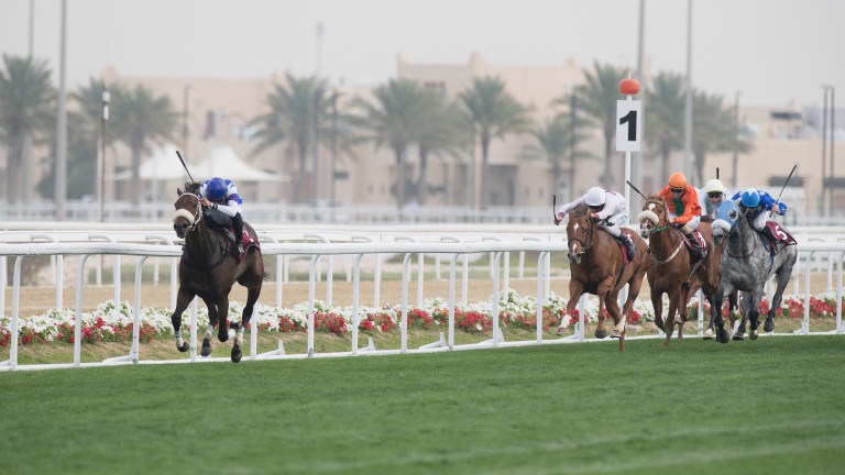 Chopin (Alberto Sanna) is not for catching in the HH The Emir's Trophy