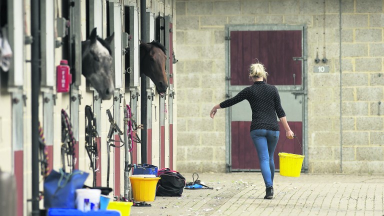 Stable staff: shortfall in workforce is an enduring problem