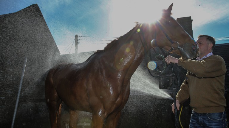 Stuart Coltherd hoses down Captain Redbeard in the Borders sunshine.
