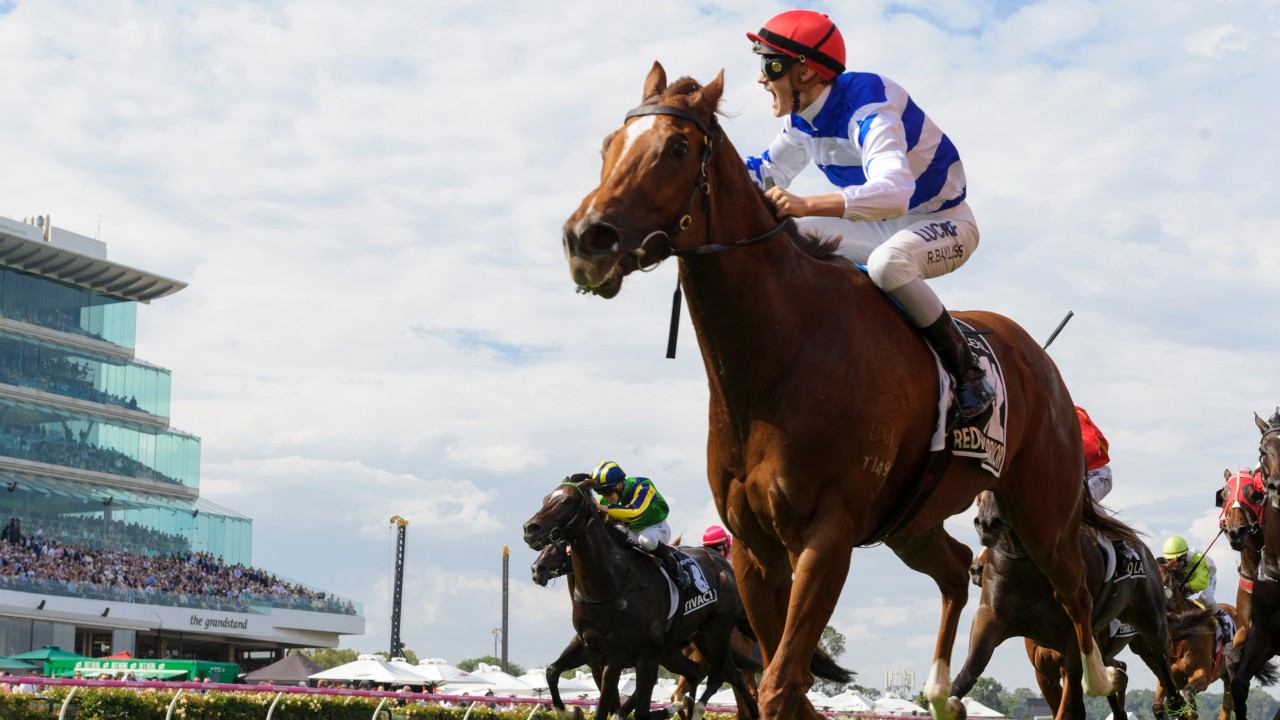 Horse Racing Today Racing News Hong Kong Racing And Sports