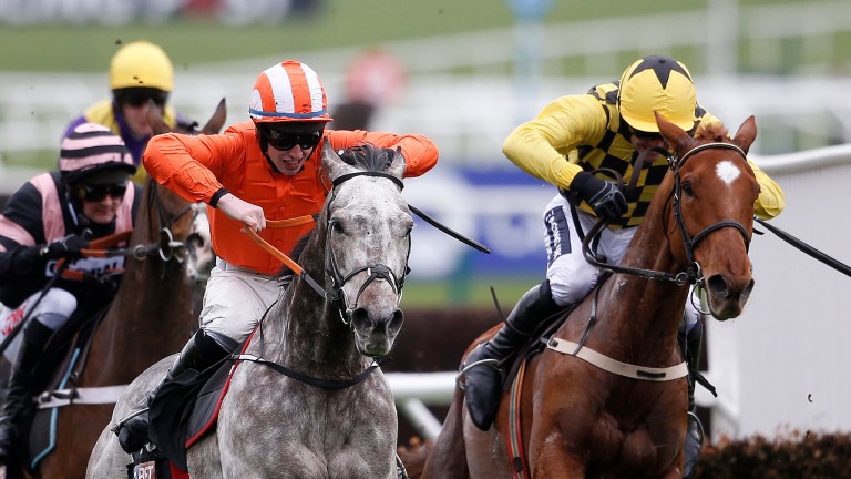 Labaik (left): son of Montmartre on his way to victory at Cheltenham
