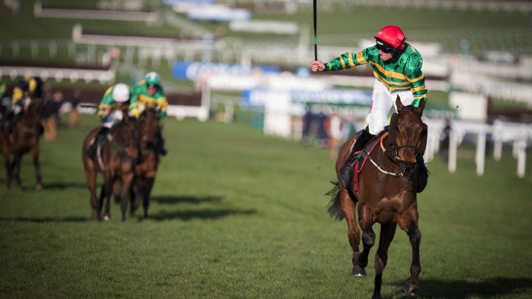 Cause Of Causes: cross-country winner is bound for Aintree