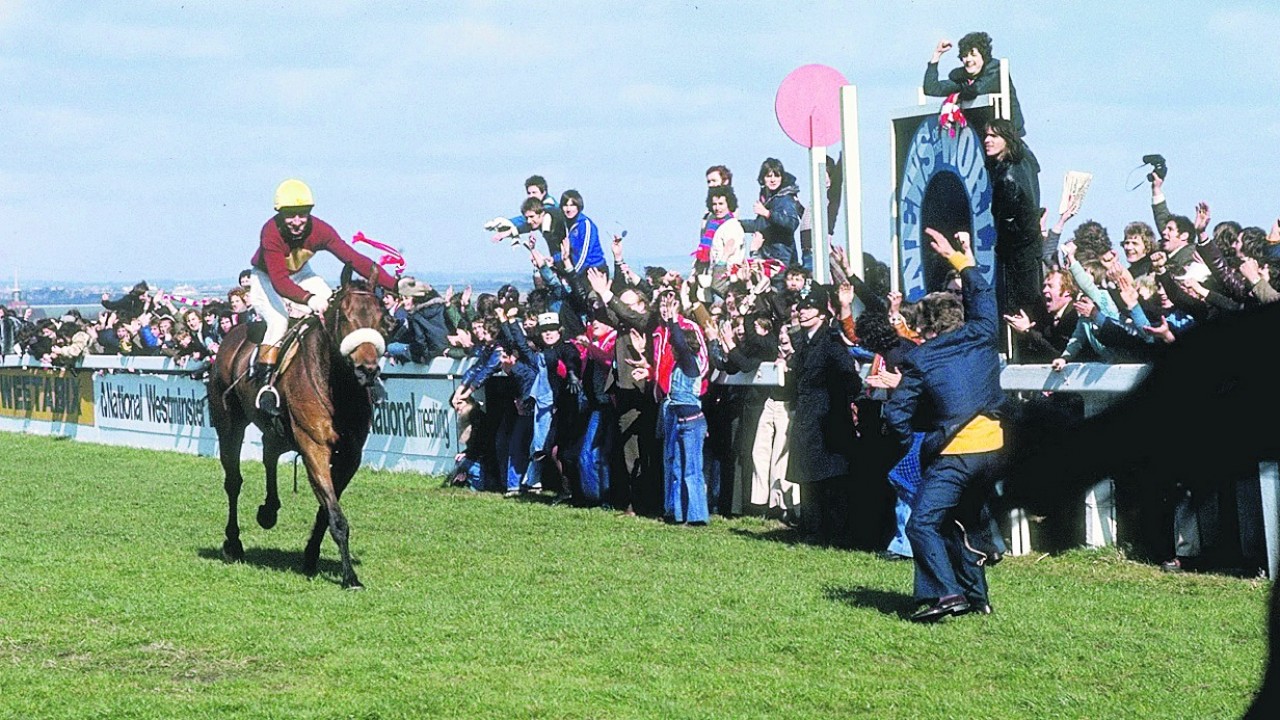How Does A Horse Qualify For The Grand National How Does A Horse Qualify For The Grand National