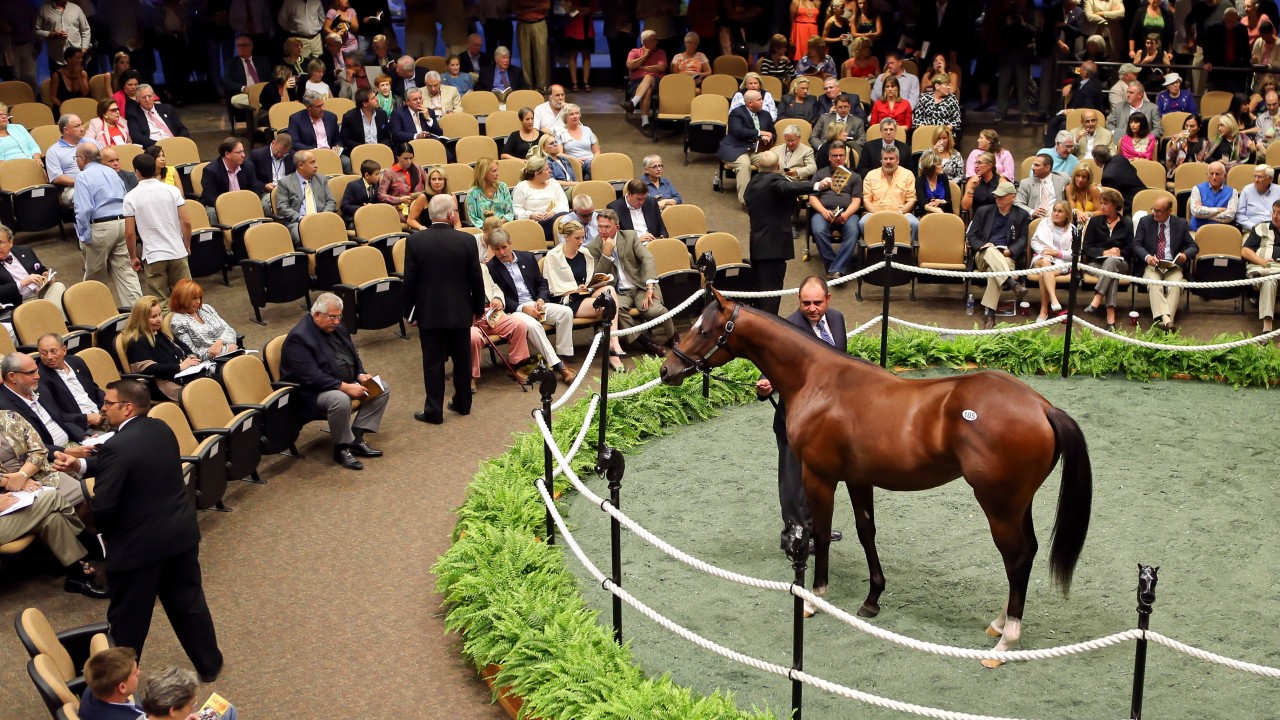 FasigTipton rolls three yearling sales into one September auction