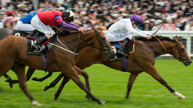 Prince Of Lir: won the Norfolk at Royal Ascot