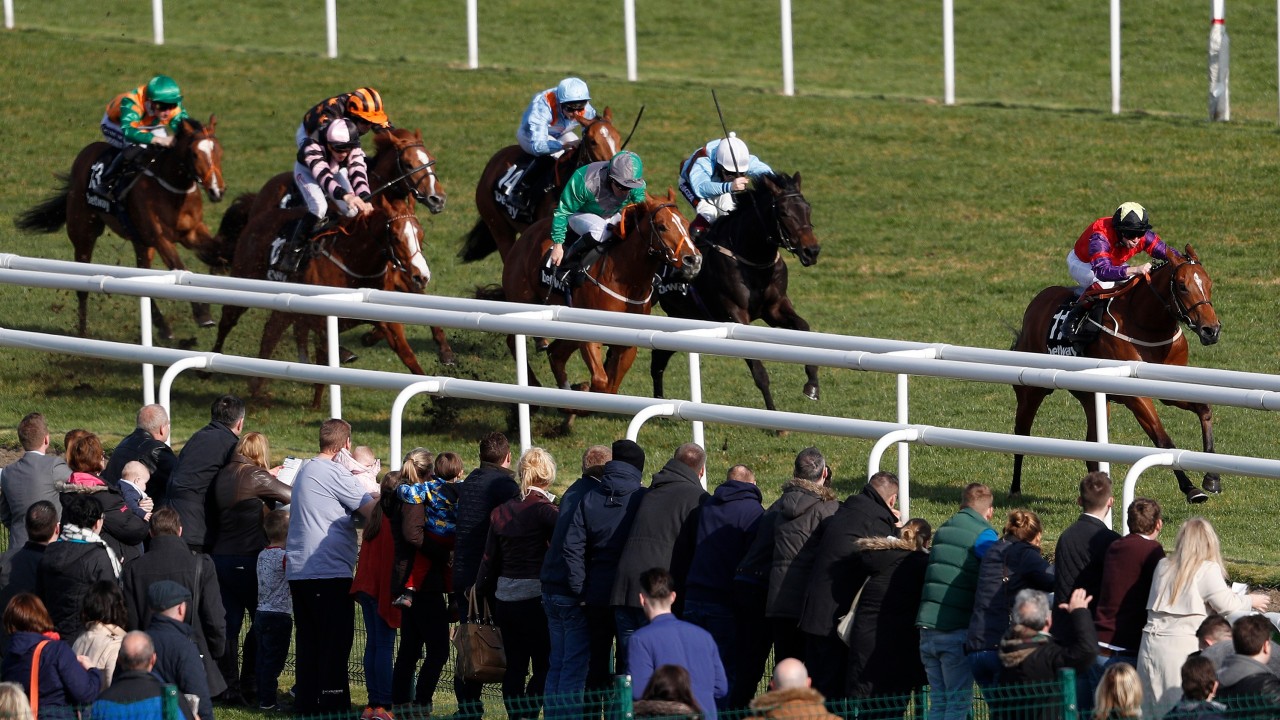 horse racing declarations today