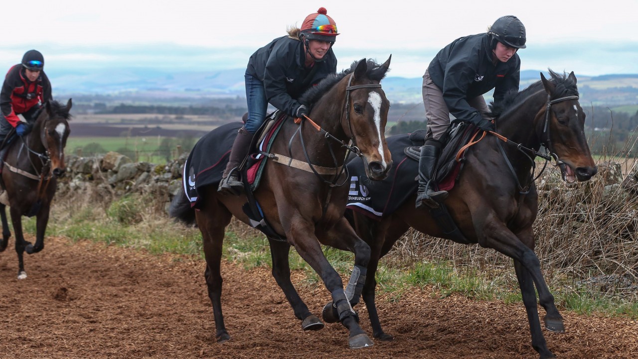 How Does A Horse Qualify For The Grand National How Does A Horse Qualify For The Grand National