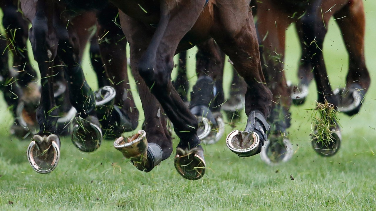 British And Irish Racing At The Centre Of Panorama Documentary Horse Racing News Racing Post