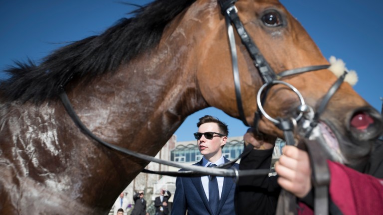 Joseph O'Brien is reportedly keen to run Rekindling at Flemington