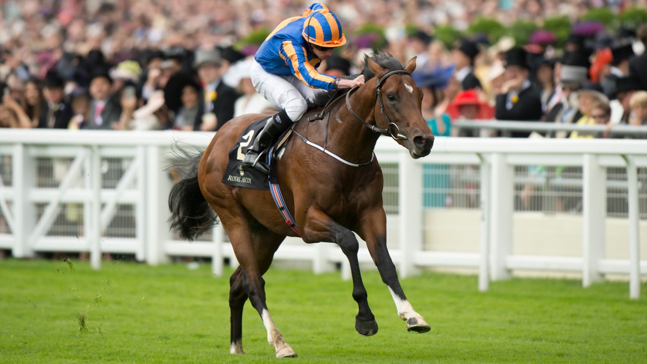 Image result for churchill 2000 guineas