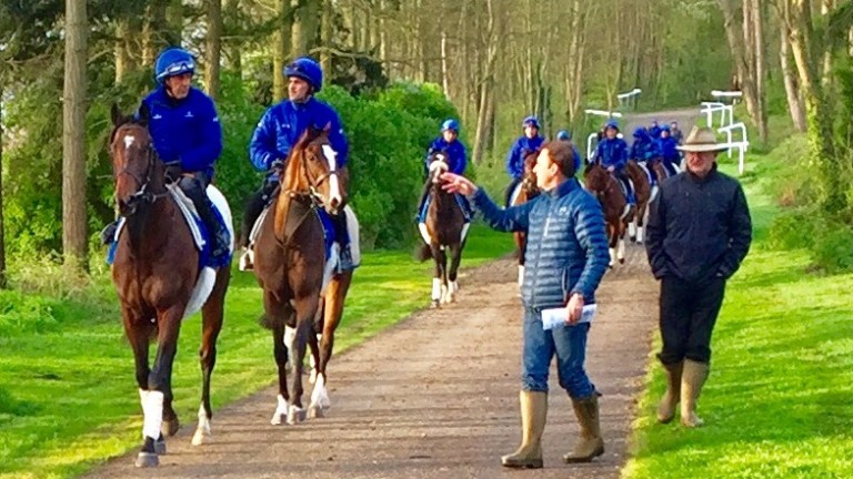 Charlie Appleby gives instructions to Willie Ryan aboard Blue Point, with John Ferguson to the right