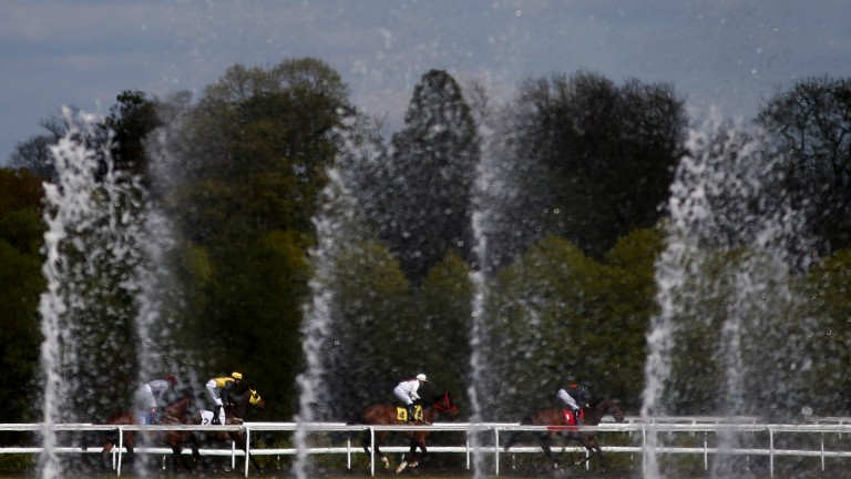Kempton: stage an evening Flat meeting on Wednesday