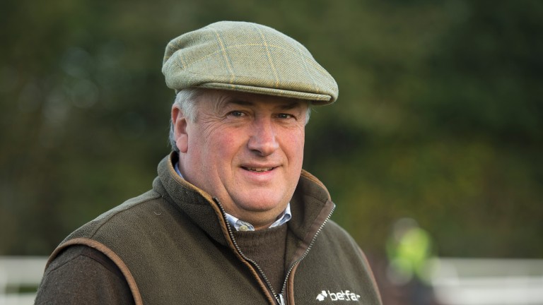Paul Nicholls: eyeing assault on BetVictor Gold Cup