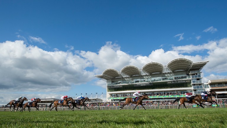 Newmarket: a place where regional racing could likely happen