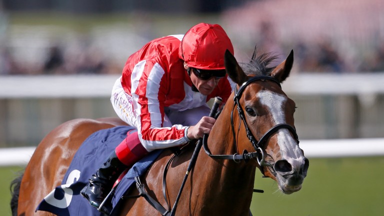 NEWMARKET, ENGLAND - APRIL 19:  Frankie Dettori riding Daban win The Lanwades Nell Gwyn Stakes at Newmarket Racecourse on April 19, 2017 in Newmarket, England. (Photo by Alan Crowhurst/Getty Images)