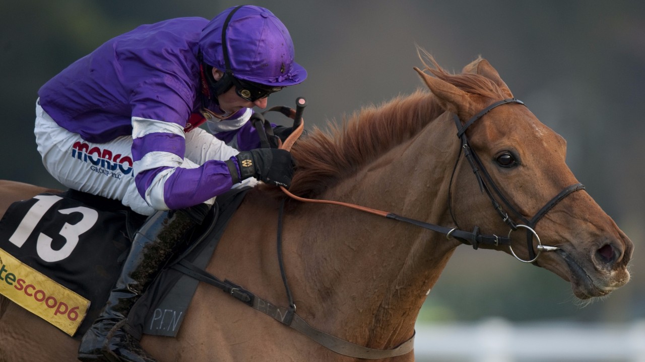 Scottish National What To Look For When Making Your Selection Horse