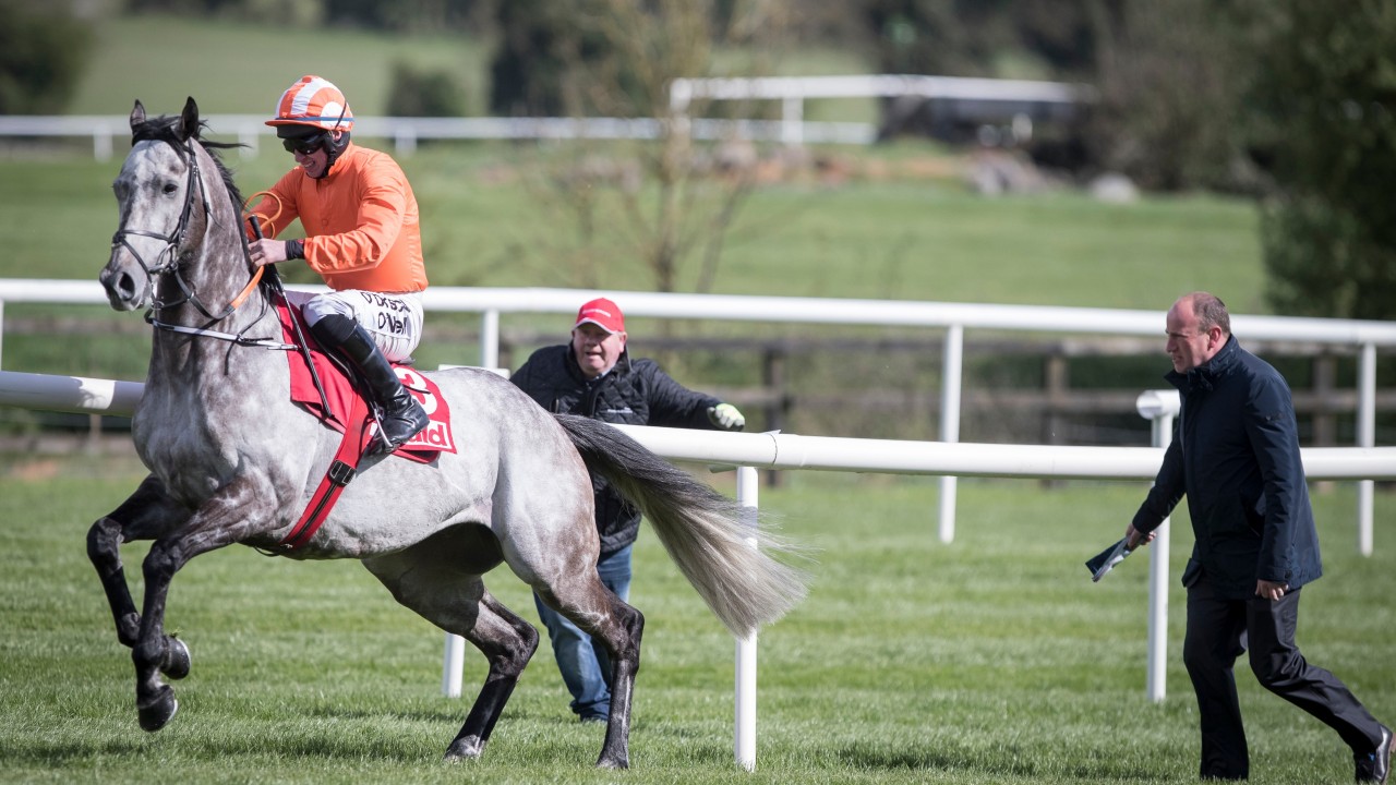 Image result for labaik horse