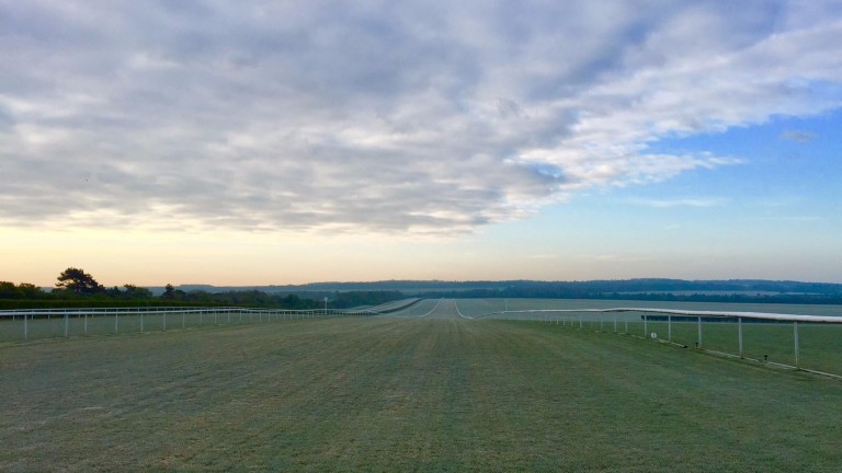 Chippenham gallops – Saeed Bin Suroor's escape