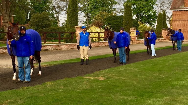 Saeed Bin Suroor stars Thunder Snow, Dream Castle, Benbatl and Beautiful Romance