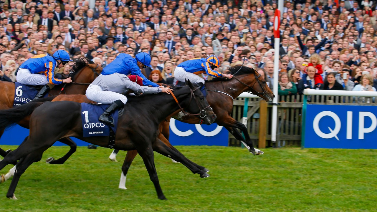 Winning express 1000 guineas betting crypto vpn nodes