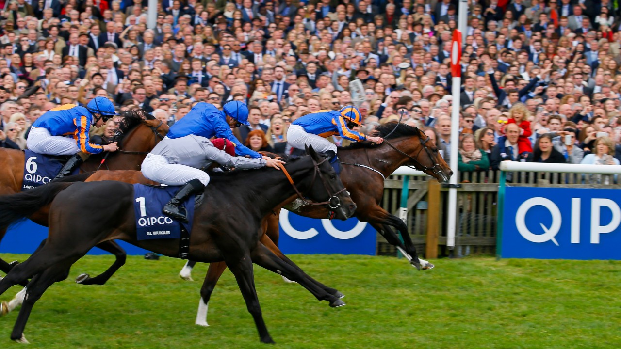 betting 2000 guineas replay