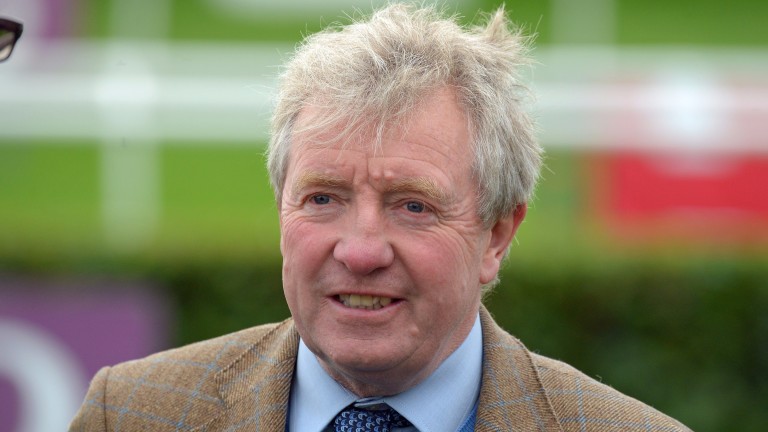 Bryan Smart: hopes to run Excellently Poised at Beverley