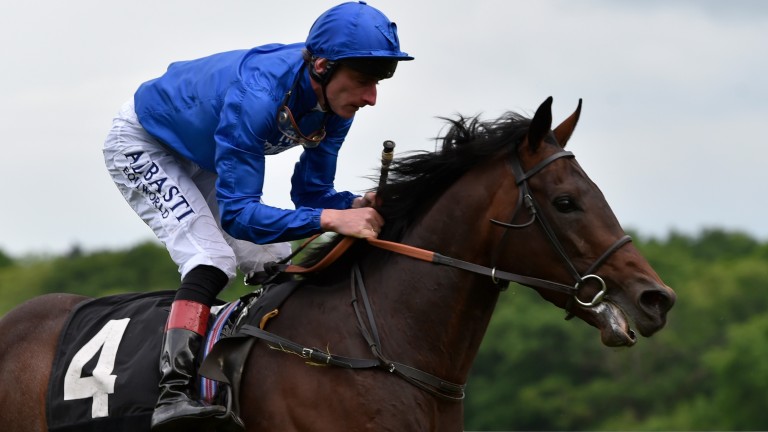 Dubai Thunder delivered a dazzling display on debut at Newbury