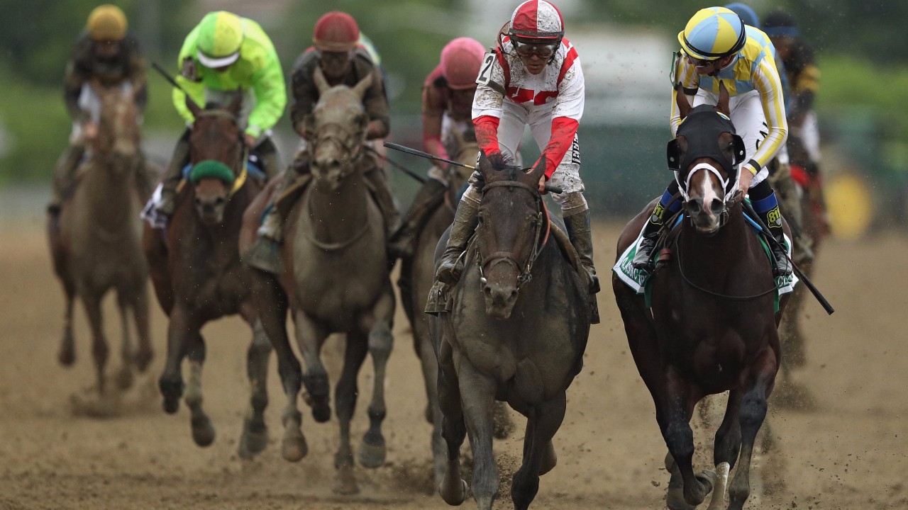 Surprise Preakness Champion Cloud Computing Is Uncertain For Belmont Stakes