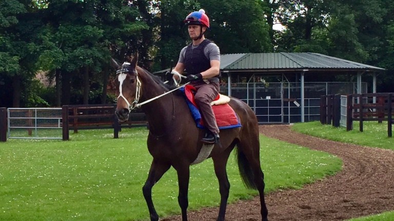 Diore Lia and Jamie Scotland at Abington Place