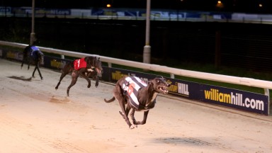 Arena Racing Company has bought Newcastle greyhound stadium (above) and Sunderland