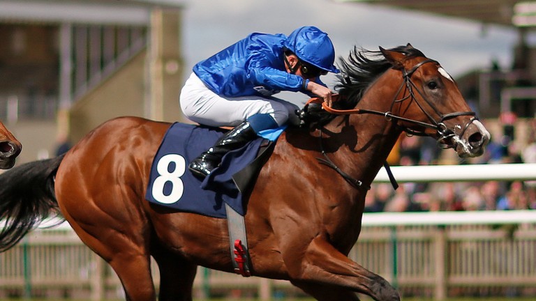 Sound And Silence bids to follow up his Newmarket win in the National Stakes