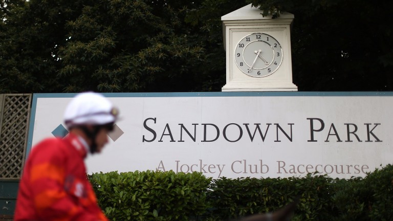 Sandown: where the stewards ordered racing to be abandoned in the interests of safety