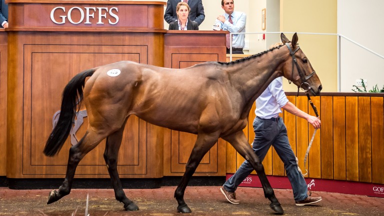 Lot 428: Kieran McManus went to £140,000 for the four-year-old Fleminport