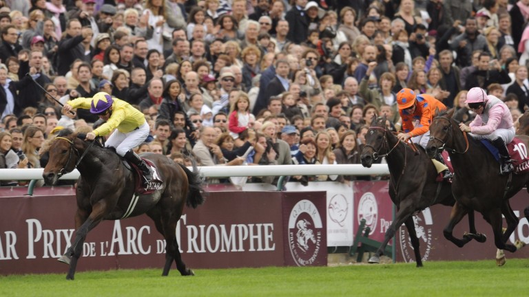 Sea The Stars: Sea Of Class's sire, won the Arc for the same connections