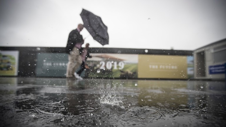 Forex punters vent their fury