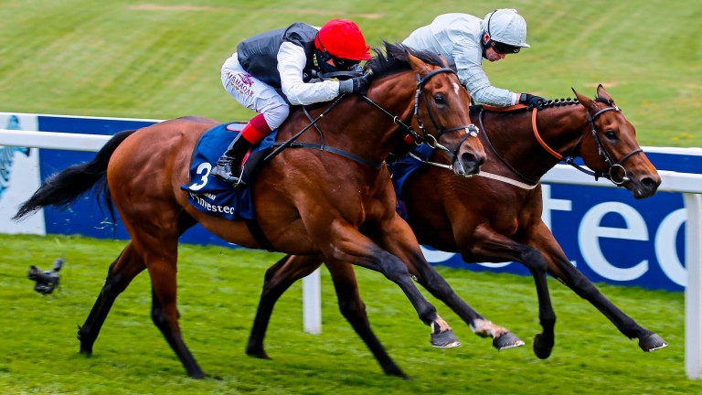 Cracksman (near side) beats Permian in the Epsom Derby Trial, but Permian's trainer Mark Johnston says Cracksman will need to improve to do so again in the Classic