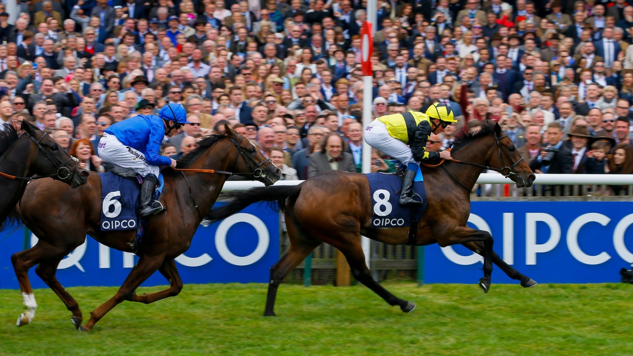 Enable outbattles Rhododendron to land the Oaks at Epsom