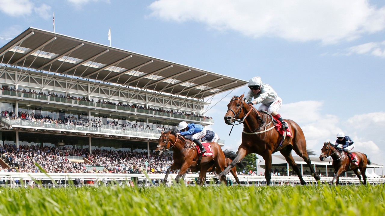 A guide to the Derby runners and how to pick the winner Horse Racing