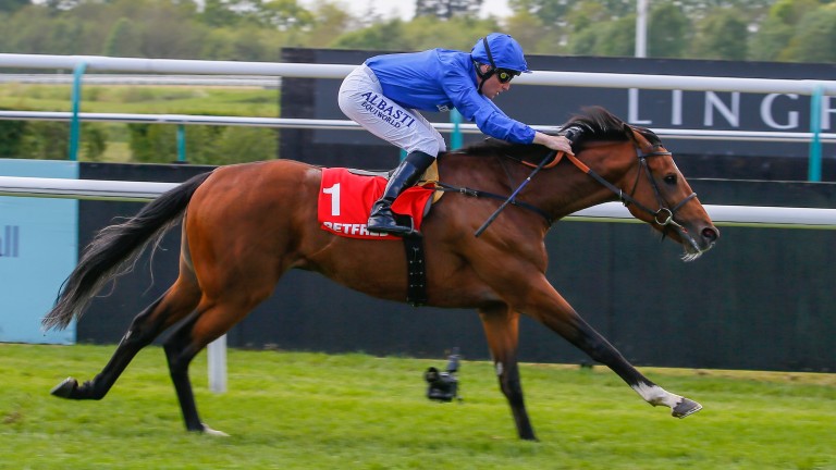 Best Solution: the son of Kodiac strides to an impressive success in the Lingfield Derby Trial